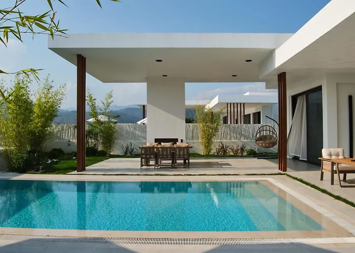 Ashta - Zen 2 * 페티예