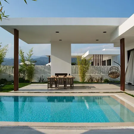 Ashta - Zen 2 * 费特希耶